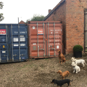 Graphic Design Supplies