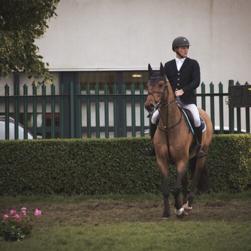 Equestrian rider on a bay horse glancing at the scoreboard after finishing a round.
