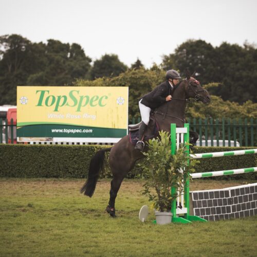 Show jumper on a dark horse clearing a green-and-white fence in the TopSpec White Rose Ring.