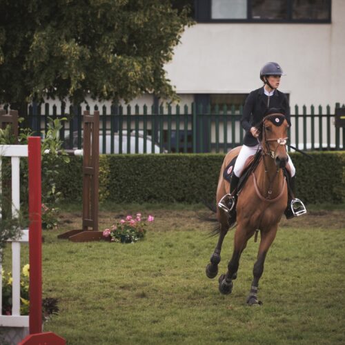 Young rider on chestnut horse approaching a jump at Great Yorkshire Show.
