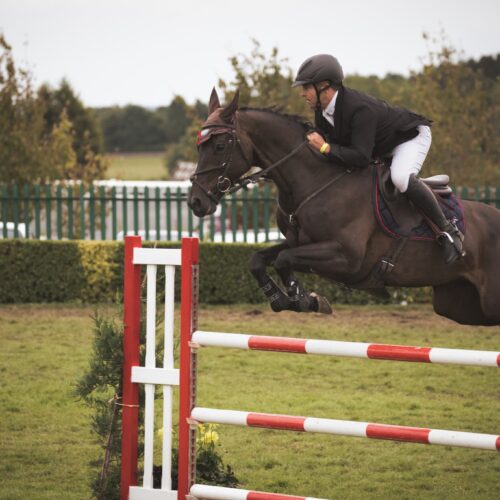 Rider on a dark bay horse clearing a red-and-white jump at GYS 2024.