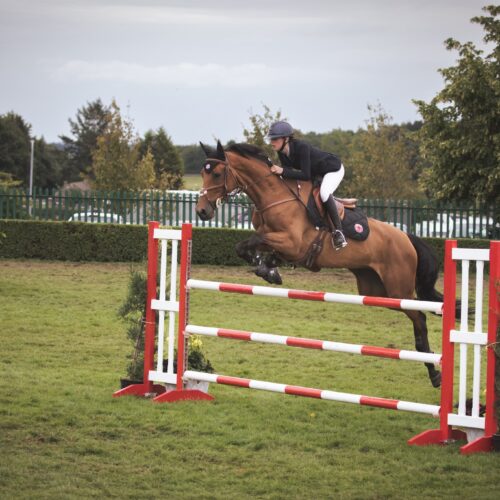 Rider and chestnut horse mid-jump over red-and-white poles in the show ring.