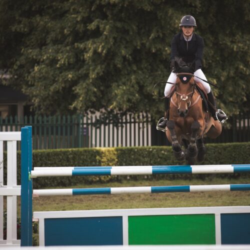 Rider and chestnut horse jumping directly towards the camera over blue-and-white poles.