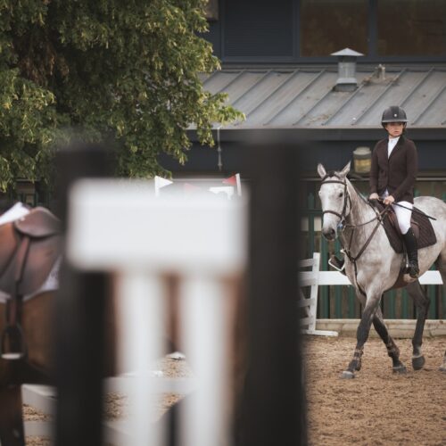 Rider on a grey horse preparing for a show jumping round at the Great Yorkshire Show 2024.
